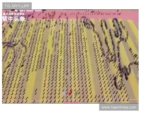 详细解读真人游戏的规则变化与最新版本内容保持领先优势