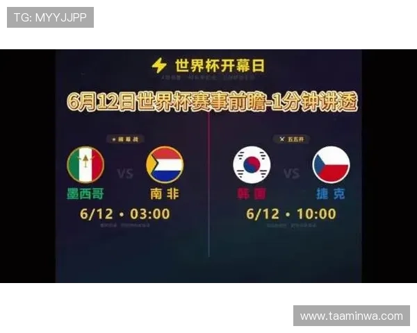 世界杯南非VS捷克比赛：两国国旗背后的历史与象征意义